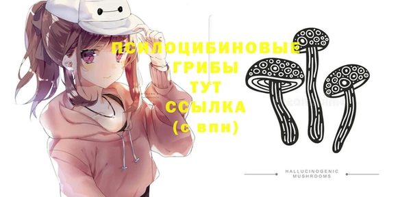 стафф Белокуриха