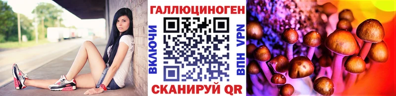 как найти закладки  Ясногорск  ссылка на мегу ONION  Псилоцибиновые грибы мицелий 
